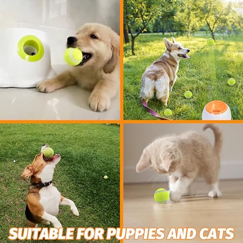 X-Small Dog Tennis Balls Dog Toys Ball 1.5" Pack of 12, Fit Ball Launchers