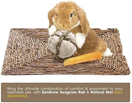 SunGrow Assorted Rabbit & Cat Chew Balls, Teething Activity Toy for Pocket Pets, Improves Dental Health, Environment Friendly, Stress Reliever (Corn Leaf, 6 Pcs)