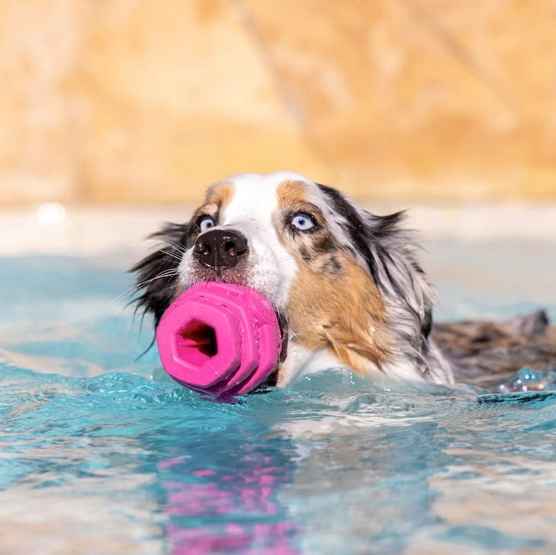 Hive Chew Toy for M/L Dogs – Pink/Wild Berry Scent – Chew, Fetch, & Treat-Dispensing Enrichment Toy, Floats, Made in USA, Pairs with Hive Chew Sticks for M/L Dogs for Longer-Lasting Play