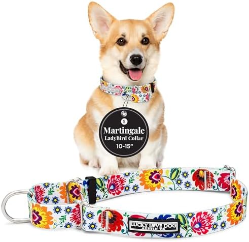 Lucky Love Dog Martingale Collar for Small Dogs No Slip – Ladybird, Small