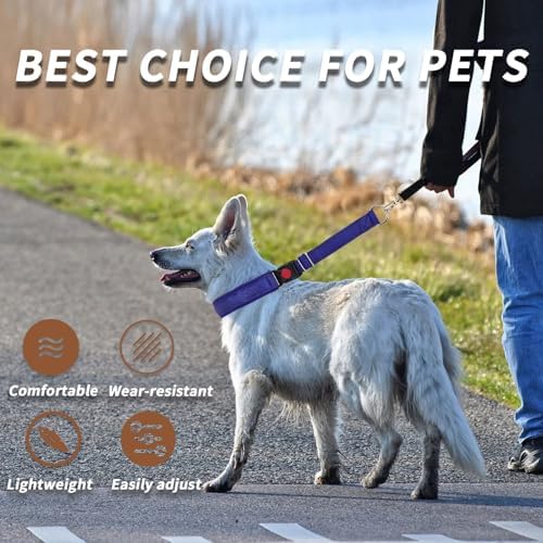 No Pull Martingale Dog Collar for Large Medium Small Dogs, Heavy Duty Nylon Reflective Adjustable Anti Pull Slip Collar with Buckle for Training Walking M Dark Blue