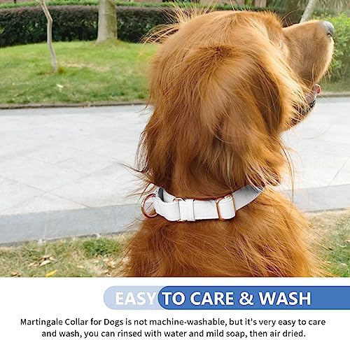 Soft Leather Martingale Dog Collar - Adjustable Rose Gold Limited Slip Collars [Easy to Clean], Stylish Durable Heavy Duty Nylon No Pull Training Collar for Small Medium Large Dogs XS White