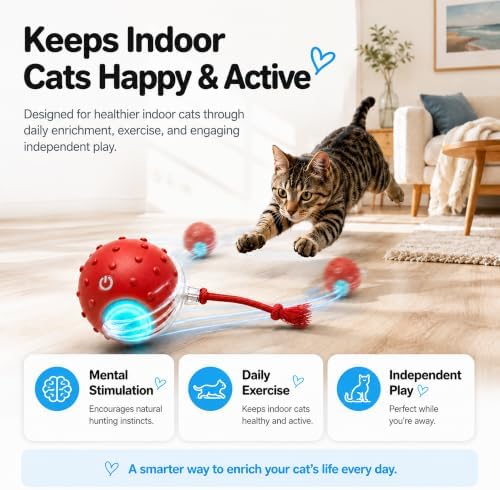 AWISH Cat Enrichment Toy, Interactive Rolling Ball for Indoor Cats