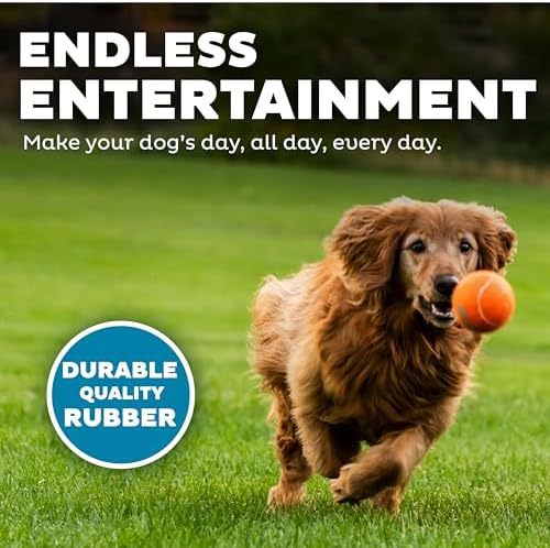 Outward Hound Squeaker Ballz Tennis Ball Dog Toy, Large, 3", 4-Pack | Squeaks & Bounces, Bright Colors, Interactive Fetch & Training, Indoor Outdoor, Moderate Chewers, Large Dogs (50 lbs & Over)