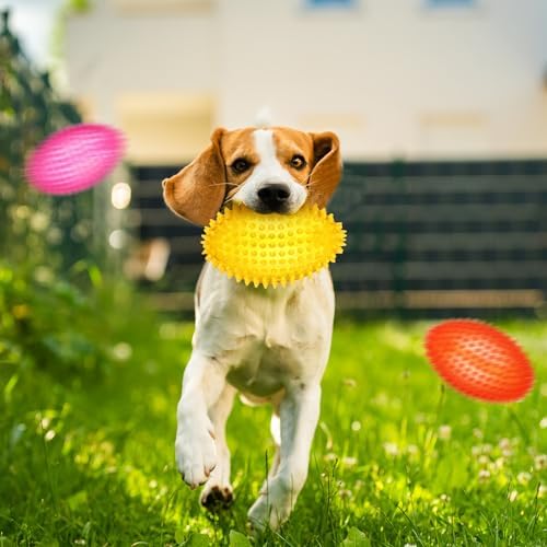 Gemscream 6 Pcs 4.7'' Spiky Squeaker Football Dog Toy Balls for Teething