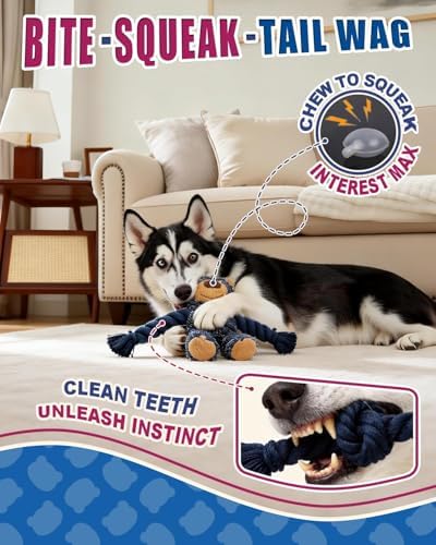 Ragged Bear Dog Toys for Aggressive Chewers, Indestructible Dog Toys with Tough Rope Core, Resistant Squeak Pet Toy for Boredom and Teething, Suitable for All Breed