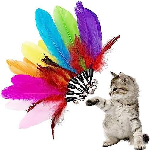 Cat Feather Toys Refill, 16 Pieces Cat Wand Replacement Feathers Toy for Indoor Cats