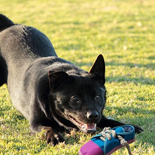 Dog Chew Toys,Creative Shoes Shape Squeaky Toy, Durable and Safe Dog Playing Toy Funny Shoes Sound Toy for Small and Medium Pets
