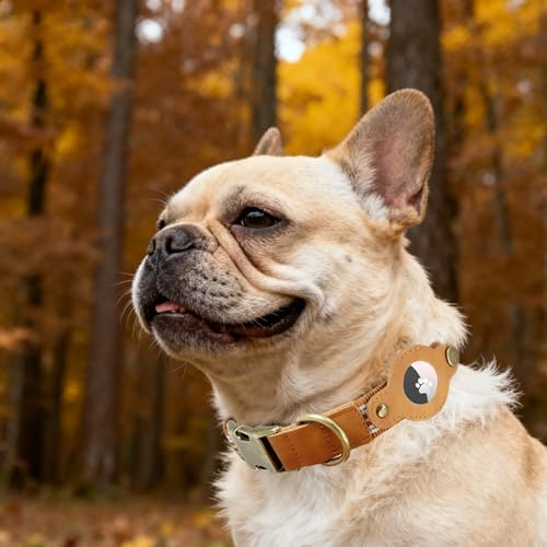 Airtag Dog Collar,Reflective Collar w Airtag Holder for Medium Dog(Caramel)