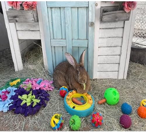 Rattle Balls for Pigs Rabbits Guinea Pigs Cats Small Animals Fun Noisy Interactive Playtime Toys You Can Also Add Treats