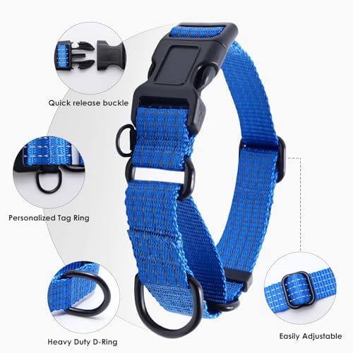 Martingale Dog Collar, Reflective No Pull with Buckle, Blue, L