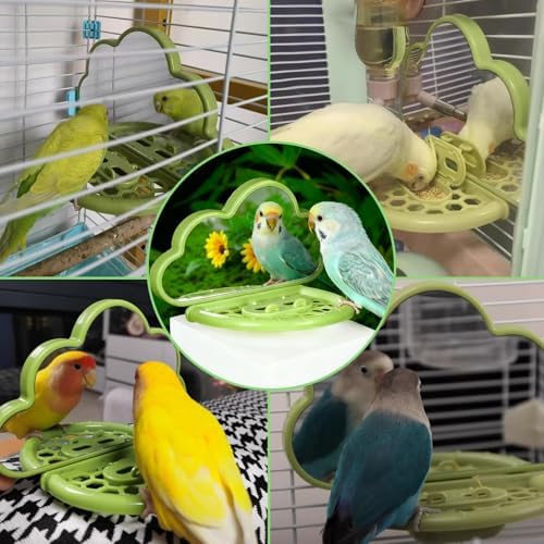 Bird Mirror with Perch Stand & Slow Feeder,Parrot Toys Swing(Green)