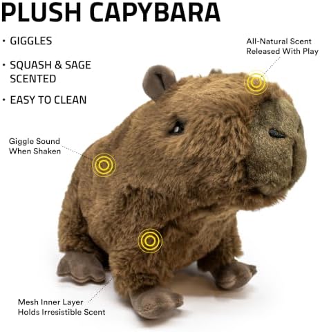 Playology Plush Capybara Dog Toy - Squeaky Dog Toy - Medium, Squash Scent