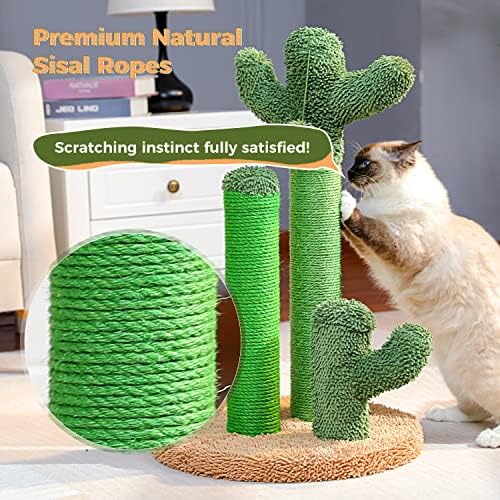 PAWZ Road Cactus Cat Scratching Post 23”Cat Scratcher with Toy Ball
