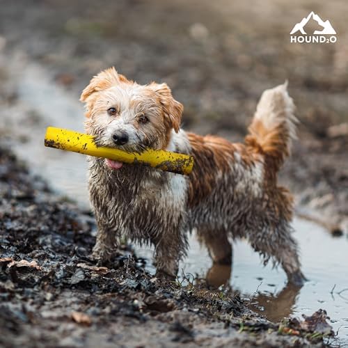 Playology Hound2O Fetch Stick Dog Toy - Outdoor Dog Toy - Yellow