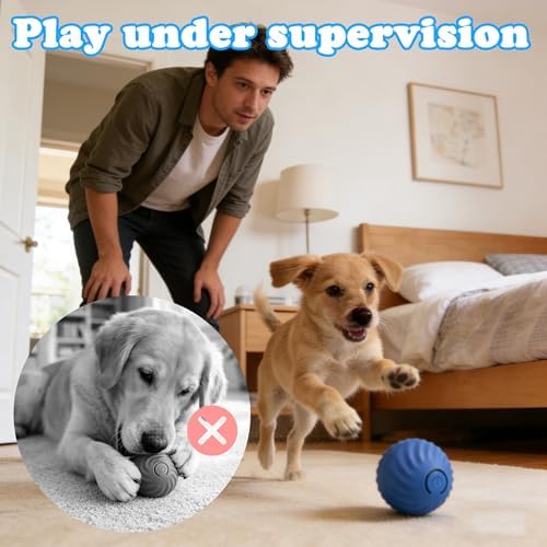 Interactive Dog & Cat Toy Ball, Automatic Moving Pet Toy for Small & Medium Dogs and Cats, USB-C Rechargeable Rolling Indoor Dog Toy for Boredom Relief