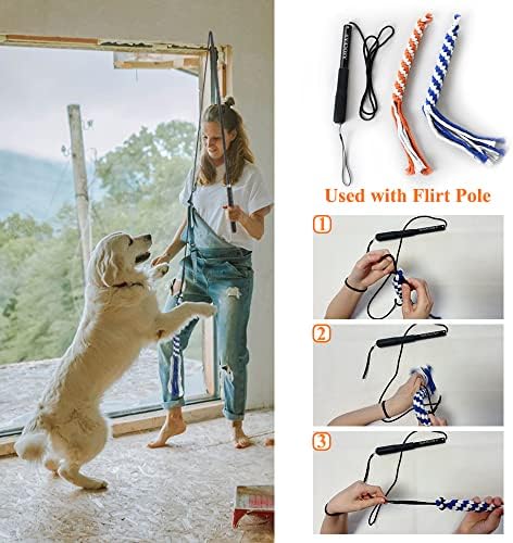 ASOCEA 3 Pack Dog Rope Toy, Flirt Pole Lure for Puppy Small Medium Dog