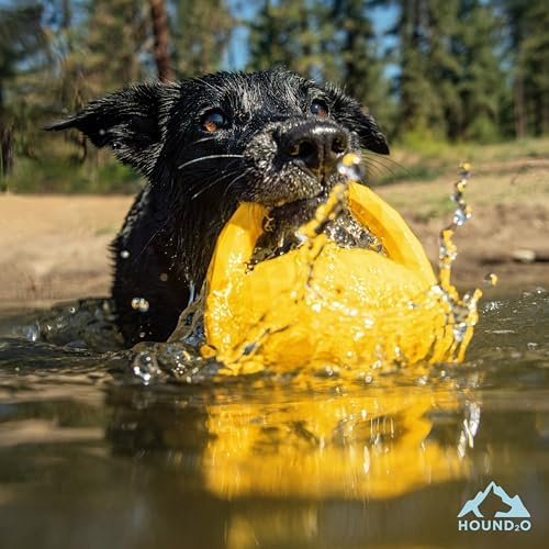 Squeaky Tug Ball - Floating Outdoor Dog Toy - Yellow
