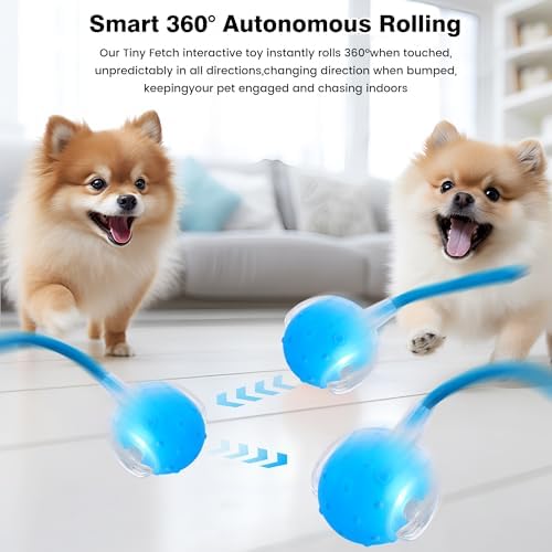 ZUAMEGUPetToy, Interactive Cat & Dog Ball Toy with Bird Sounds, Rechargeable 360° Smart Auto-Rolling Electric Pet Ball Toy (with Leash), Suitable for Indoor & Outdoor Use (Blue)