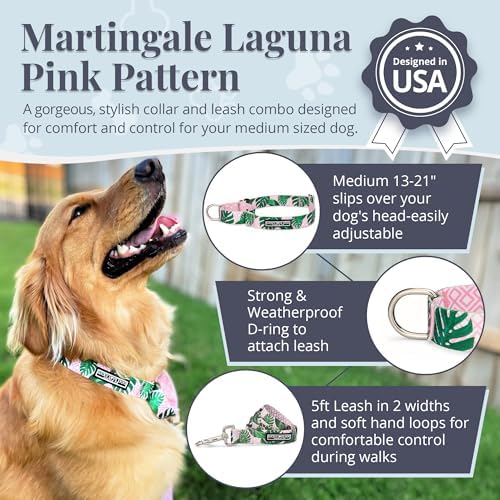 Lucky Love Dog Martingale Collar & Leash Set No Slip Cute – Laguna, Medium
