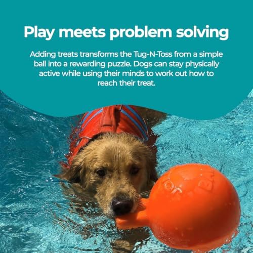 Jolly Pets Tug-n-Toss - Heavy Duty Chew Ball w/ Handle (Orange, 8")