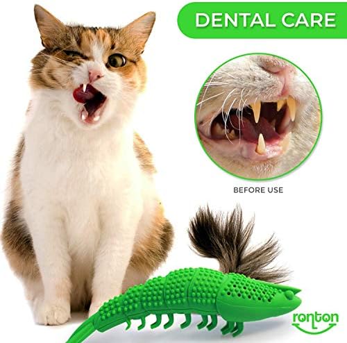 Ronton Cat Toothbrush Catnip Toy - Durable Hard Rubber - Dental Care, Cat Interactive Toothbrush Chew Toy (1 Pack Green (Shrimp)