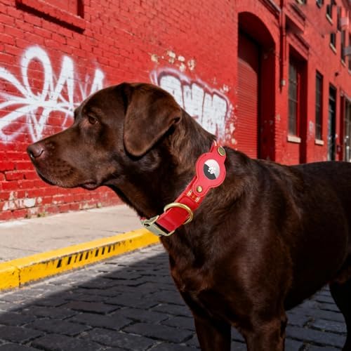 Airtag Dog Collar, Reflective Collar with Airtag Holder for Large Dogs(Red)