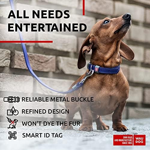 WAUDOG Long Lasting Leather Dog Collar for Large Dogs, Medium & Small Dogs - Adjustable Classic Puppy Collars for Large Breed Dogs - Boy & Girl Dog Collars with Durable Buckle, D-Ring & QR Dog Tag