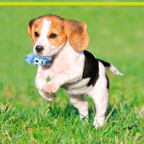 PetSport Naturflex Tiny Tots Gorilla Toy - Durable & Long-Lasting, Non-Toxic Material, Internal Squeaker, Rubber Toy for Dogs, Ideal for Interactive Play and Engagement