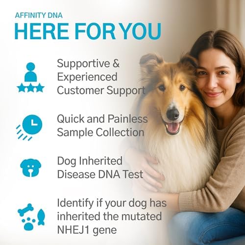Dog Collie Eye Anomaly Choroidal Hypoplasia (CEA/CH) DNA Test | Home Sample Collection Kit for 1 Dog | Results in 10-15 Working Days | A Complete Kit with No Extra Fees