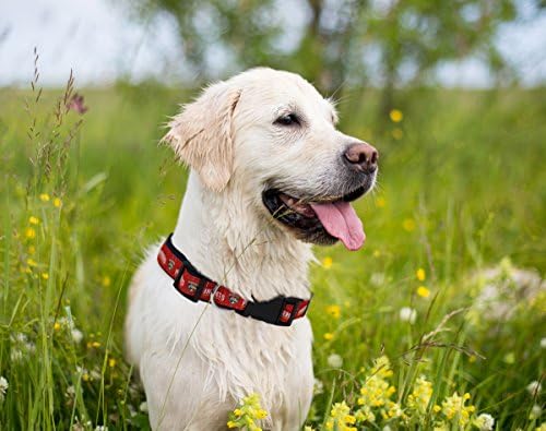 Pets First NHL Collar for Dogs & Cats. Adjustable, Cute, & Stylish! The Ultimate Hockey Fan Collar!