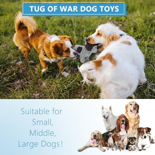 Letsmeet Squeaky Plush Dog Toy for Puppies, Small and Medium Dogs, Interactive Crinkle Stuffed Animal for Teething and Boredom, Soft Chew Toy to Keep Them Busy