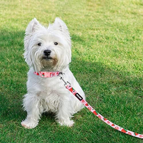 azuza Fruit Dog Collar and Leash Set, Collar Nylon and Matching Leash, Great Option for Small Medium Large Dogs, Pink, S (Neck: 11"-16")