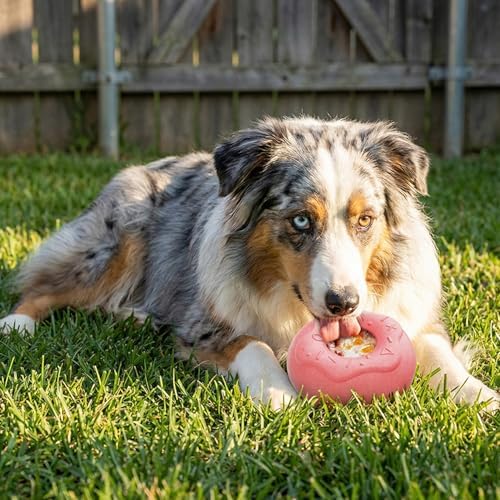 All-in-One Frozen Dog Toy with Removable Mold, Enrichment Chew & Lick Toy for Mental Stimulation, Indestructible for Aggressive Chewers, Coffee Wood Fiber, for Puppy Large Medium Small Dogs