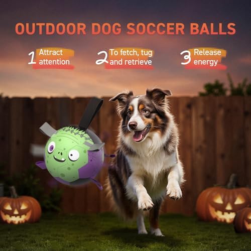 QDAN Halloween Dog Toys, Dog Soccer Balls with Straps, Outdoor Dog Toys