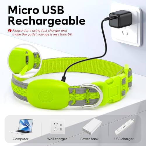 Flashseen LED Dog Collar, Light Up Dog Collar USB Rechargeable, Green, XS