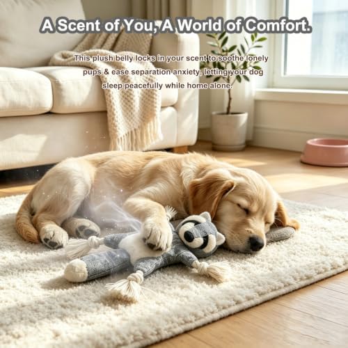 No Stuffing Crinkle Squeaky Dog Toy for Small Medium Puppies,（Raccoon）