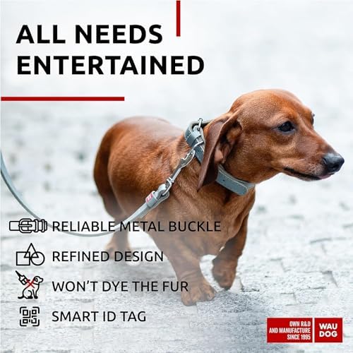 WAUDOG Long Lasting Leather Dog Collar for Large Dogs, Medium & Small Dogs - Adjustable Classic Puppy Collars for Large Breed Dogs - Boy & Girl Dog Collars with Durable Buckle, D-Ring & QR Dog Tag