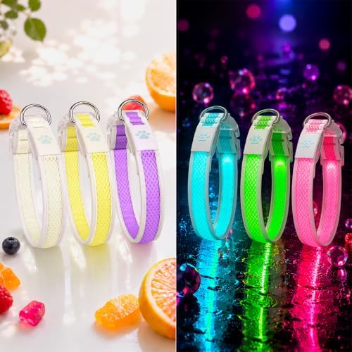 Multicolor LED Dog Collar USB-C Rechargeable, Light Up Dog Collar, Rainbow Gradient Glowing Dog Collar with 4 Light Modes, Adjustable Candy Mesh Pet Collar(Green, Small)