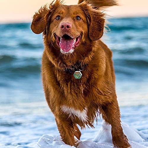 Smart Pet ID Tags - Personalized Dog Tags with QR Code for Instant Location Alerts