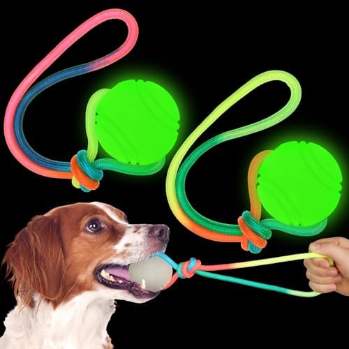 Hollowfly 2 Pcs Christmas Glow in Dark Dog Ball on Rope 2.36" Toy