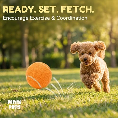 Squeaky Mini Tennis Balls for Small Dogs Puppy - 1.5 Inch - 6 Pack - Dog Toys for Small Dogs, Training Positive Reinforcement, Interactive Fetch Tiny Squeaker Balls for Ball Launcher