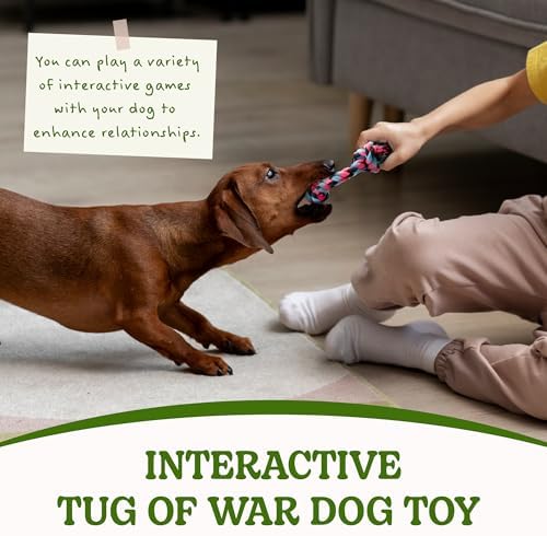 SHARLOVY Puppy Rope Toy, Dog Rope Toy for Small Dogs, Puppy Teething Toys