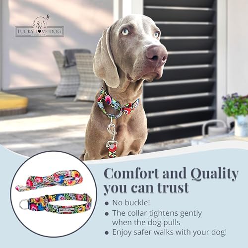 Lucky Love Dog Martingale Collar & Leash Set No Slip – Blackbird, Large