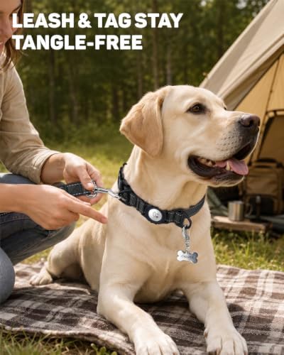Padded Dog Collar with Waterproof Holder Compatible with Airtag