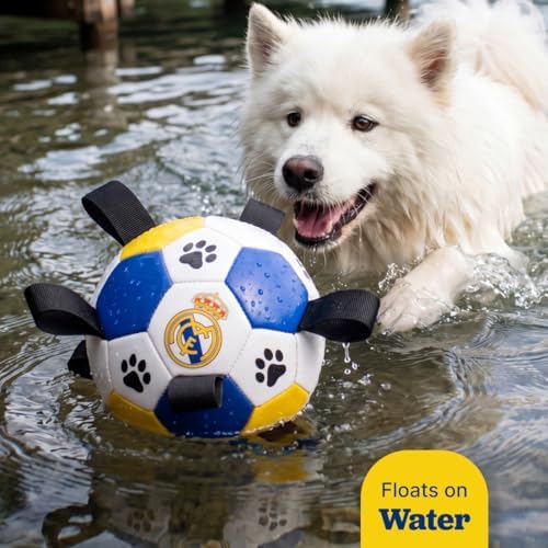 Interactive Dog Soccer Ball for Dogs, 6” with Straps & Grab Tabs, Floats on Water, Fetch & Training Toy for Small/Medium Dogs, Herding Breeds, Waterproof Non-Toxic – ProBall Pets – Real Madrid