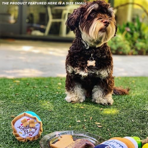 Haute Diggity Dog Birthday Boy Cake Plush Dog Toy, Funny Stuffed Dog Toy