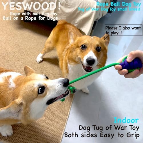 YESWOOD! Tug of War Toy with Ball,Small Fetch Rope Ball with Loop Handle