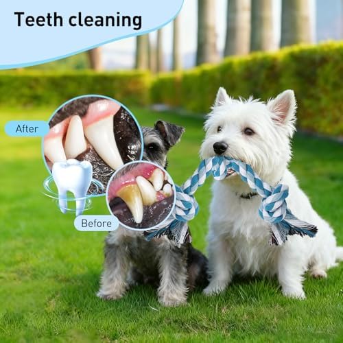 SZEE Dog Rope Toy 2-Pack, Rope Toys for Dogs, Suitable for Small Breeds