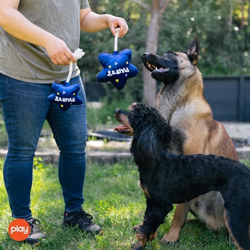 P.L.A.Y. Cute Plush Dog Toy - Birthday Party Celebration Themed Durable Squeaker Chew Toy, for Puppies & Small, Medium, Large Dog - Machine Washable, Recycled Material (Best Day Ever Balloon, X-Small)